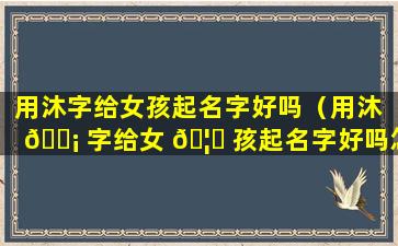 用沐字给女孩起名字好吗（用沐 🐡 字给女 🦋 孩起名字好吗怎么样）